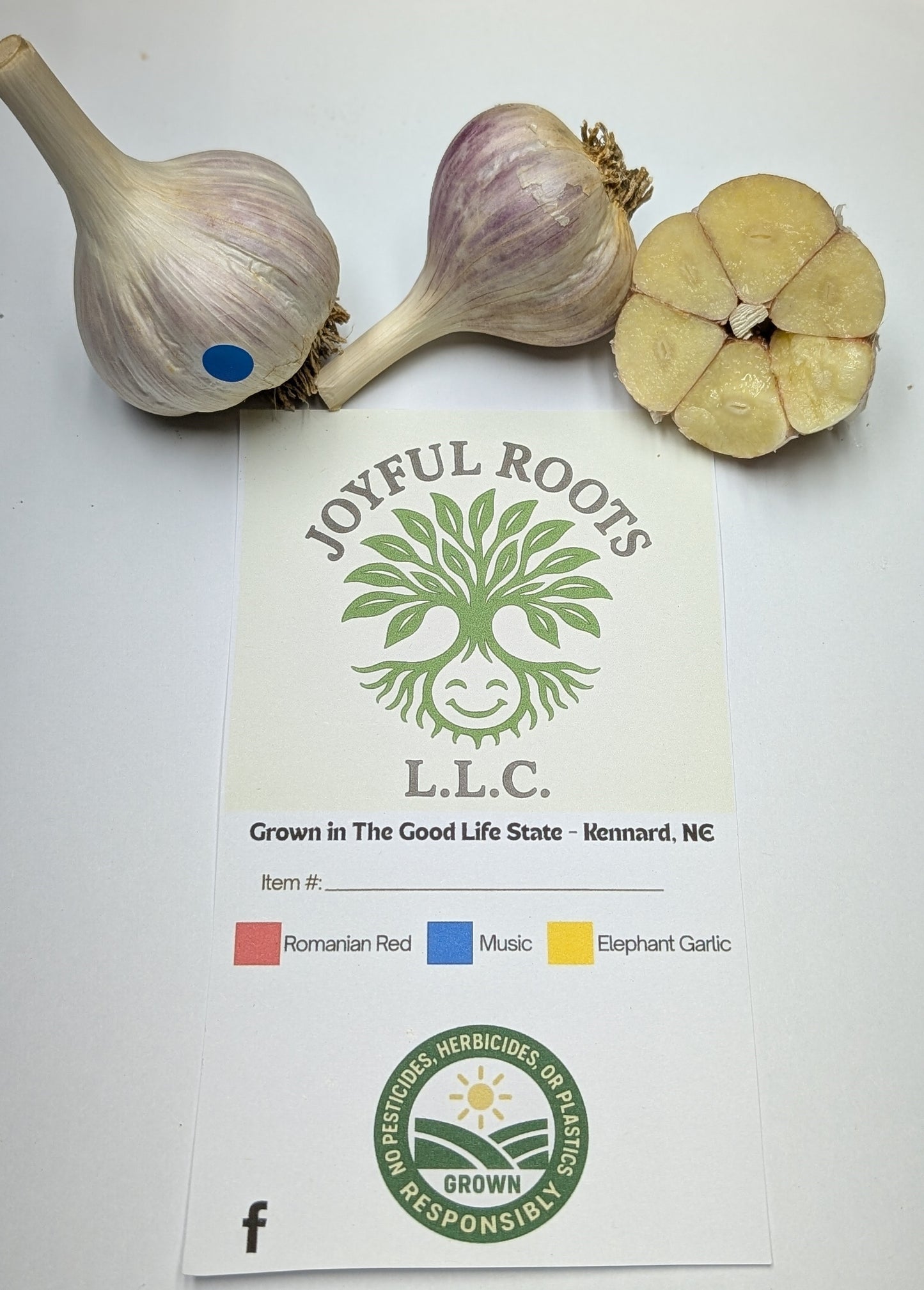 (1/2) lb Music hardneck garlic for eating/planting-Culinary grade